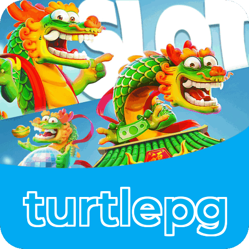 Verificação KYC turtlepg